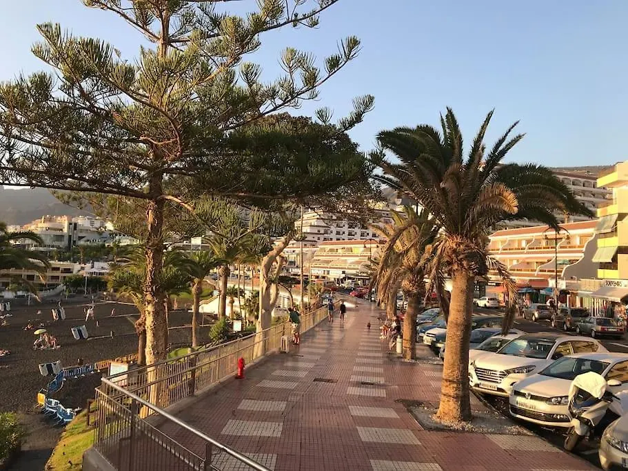 Luxury Oceanfront Apt In Villa - Next To Beach Puerto de Santiago  Lejlighed